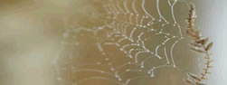 Upload=