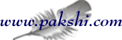 pakshi.com